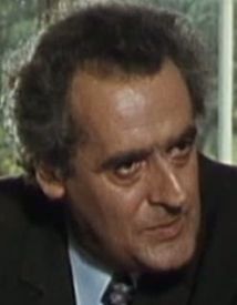 Ein Fall für Stein (1976)