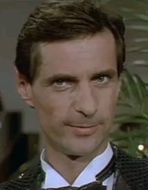 Der Millionenerbe (1990)