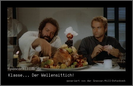 Klasse... Der Wellensittich!