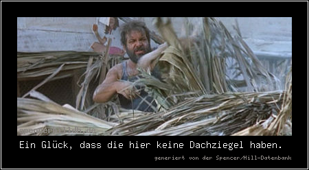 Ein Glück, dass die hier keine Dachziegel haben.