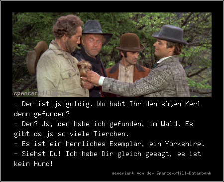 - Der ist ja goldig. Wo habt Ihr den süßen Kerl denn gefunden?
- Den? Ja, den habe ich gefunden, im Wald. Es gibt da ja so viele Tierchen.
- Es ist ein herrliches Exemplar, ein Yorkshire.
- Siehst Du! Ich habe Dir gleich gesagt, es ist kein Hund!
