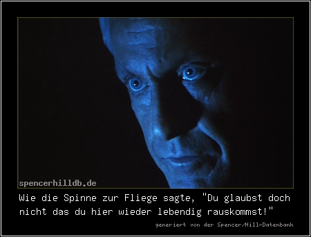 Wie die Spinne zur Fliege sagte, 