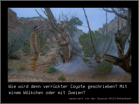 Wie wird denn verrückter Coyote geschrieben? Mit einem Wölkchen oder mit Zweien?